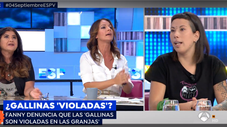 Debate encendido en Antena 3 sobre si las gallinas dan su consentimiento cuando son montadas por los gallos