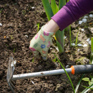 Lograr un jardín de ensueño y sentarse a disfrutarlo casi de inmediato