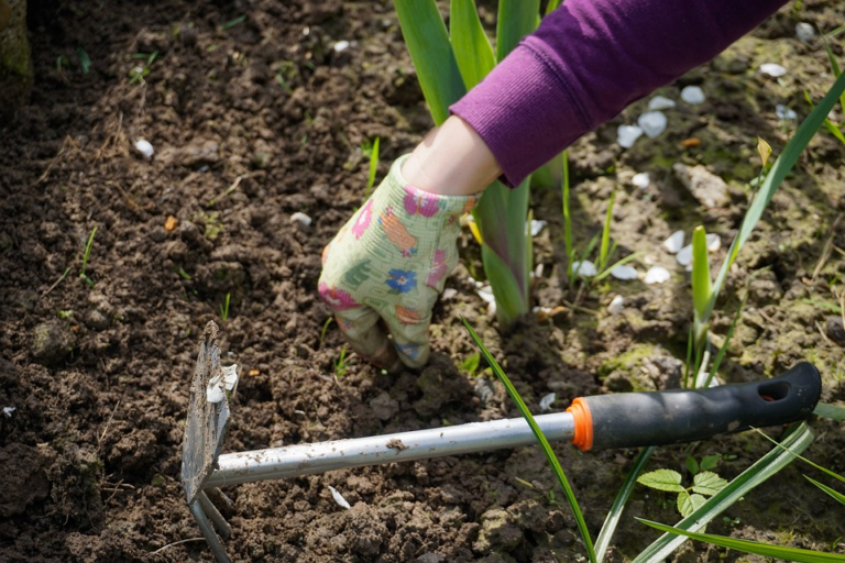 Lograr un jardín de ensueño y sentarse a disfrutarlo casi de inmediato