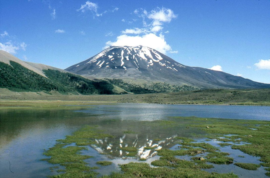 Todo sobre la comuna de Lonquimay, Chile