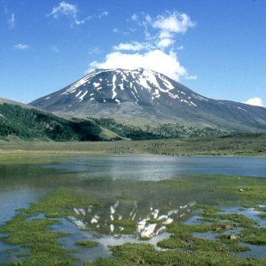 Todo sobre la comuna de Lonquimay, Chile