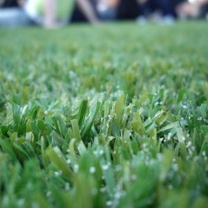 Crear espacios vistosos y añadir fragancias agradables