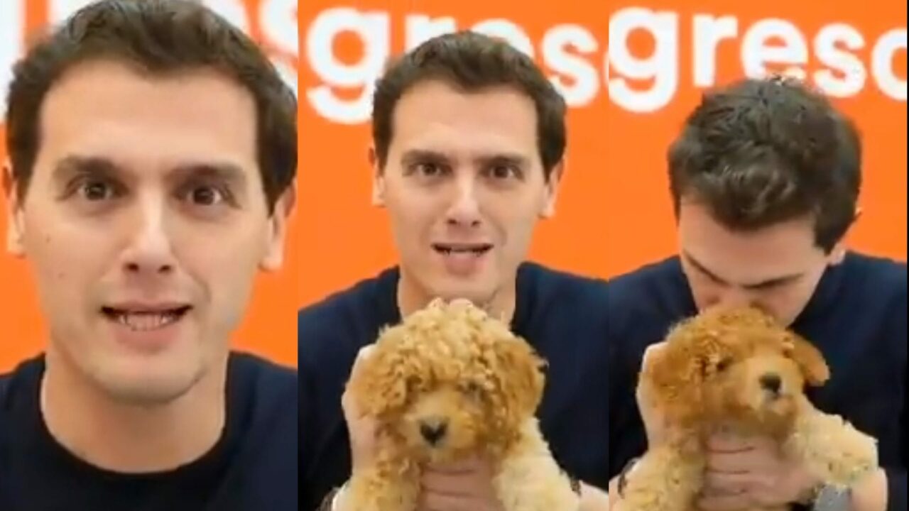 Incredulidad, desasosiego y pitorreo con la última vídeo-ocurrencia de Albert Rivera