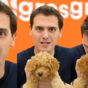 Incredulidad, desasosiego y pitorreo con la última vídeo-ocurrencia de Albert Rivera