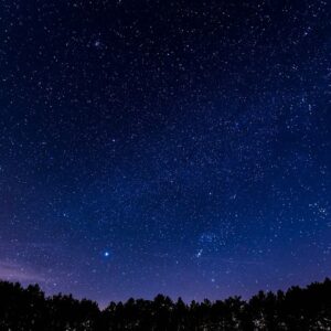 Cuáles son los mejores sitios para observar aves o las estrellas en España