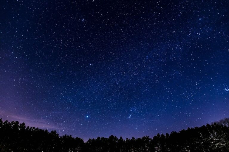 Cuáles son los mejores sitios para observar aves o las estrellas en España