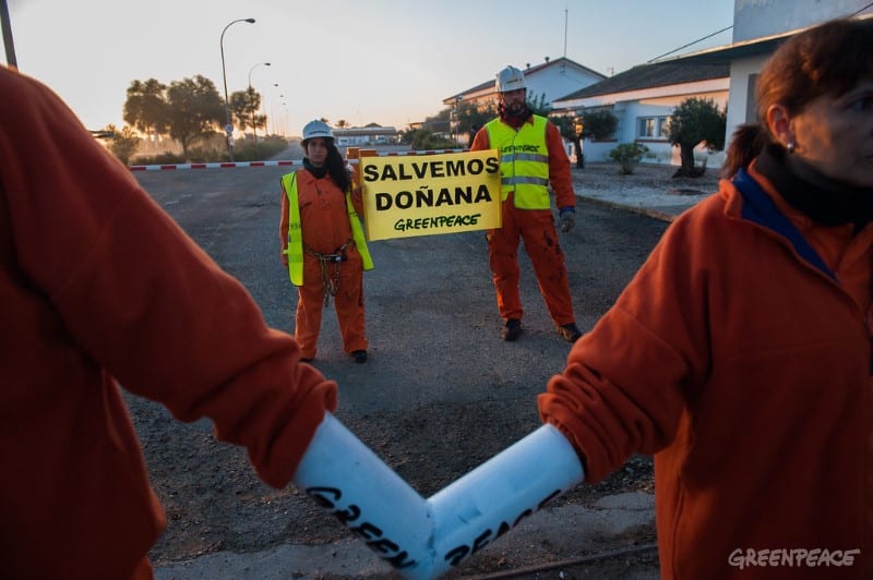 Miembros de Greenpeace durante una acción de protesta en Doñana. 