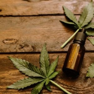 Las variedades de flores más ricas en aceite CBD