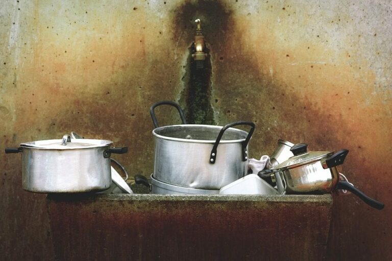 ¿Qué olla rápida es la mejor para la cocina de tu hogar?
