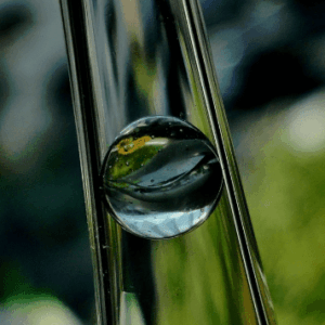 ¿Son reales las predicciones de las videntes?