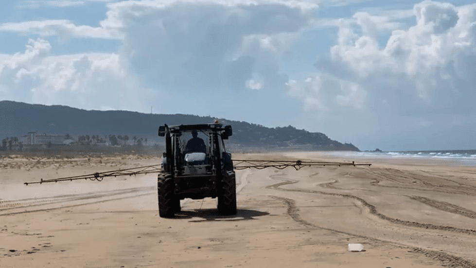 La "aberración medioambiental” de rociar con lejía una playa de Cádiz