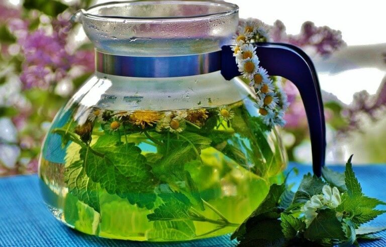 Vita Nayura, la primera marca de infusiones con superalimentos 100% ecológica en España