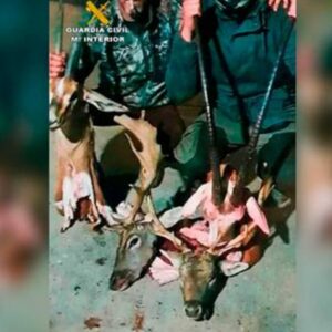 Tres furtivos de Aznalcóllar detenidos tras mostrar cabezas de especies protegidas