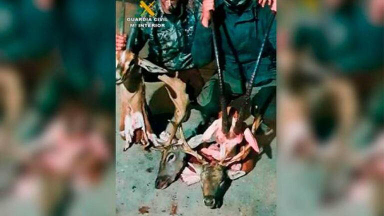 Tres furtivos de Aznalcóllar detenidos tras mostrar cabezas de especies protegidas