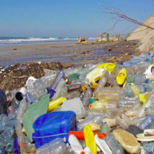 El Gobierno ultima la prohibición de los cubiertos de plástico