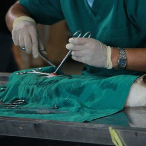 ¿Por qué es importante contar con un veterinario de urgencias de confianza?