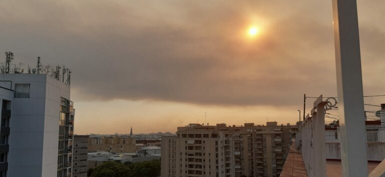 Un gran incendio forestal cubre de humo el cielo de Sevilla