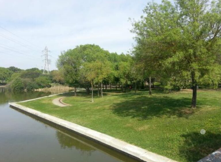 Detenido un joven de 16 años por violar a una de 17 en un parque de Sevilla