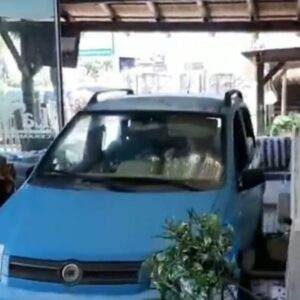 Irrumpe con su coche en un vivero en Mijas para “liberar” a las plantas