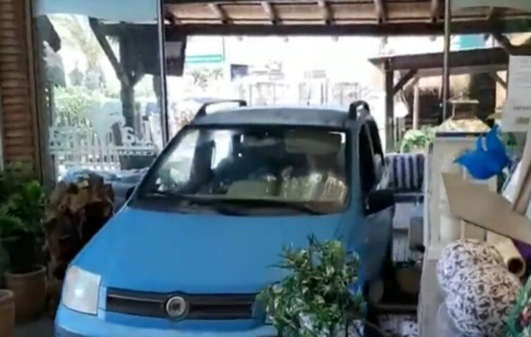 Irrumpe con su coche en un vivero en Mijas para “liberar” a las plantas