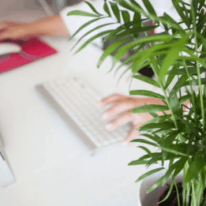 ¿Cómo hacer dinero fácil trabajando desde casa?
