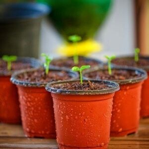 Productos y servicios que favorecen el medio ambiente
