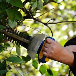 Conoce los mejores productos y equipos que no pueden faltar en tu casa