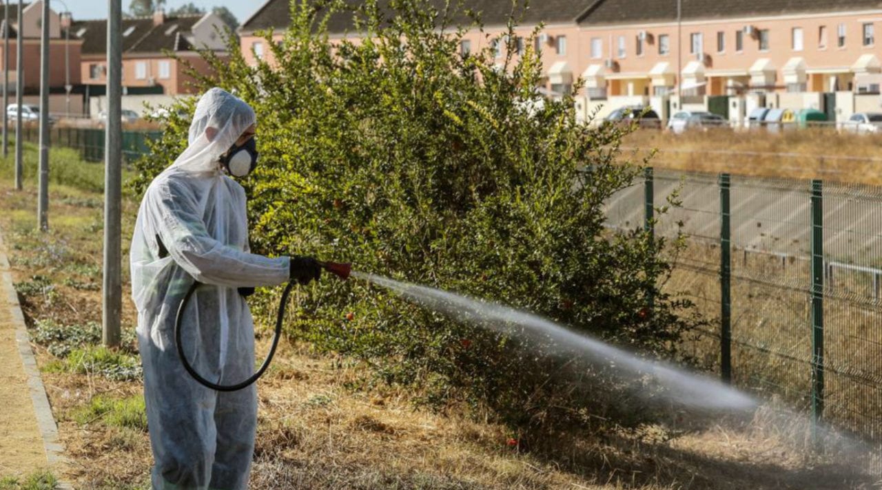 Críticas a la Junta de Andalucía por no actuar contra el brote de fiebre del Nilo