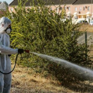 Críticas a la Junta de Andalucía por no actuar contra el brote de fiebre del Nilo