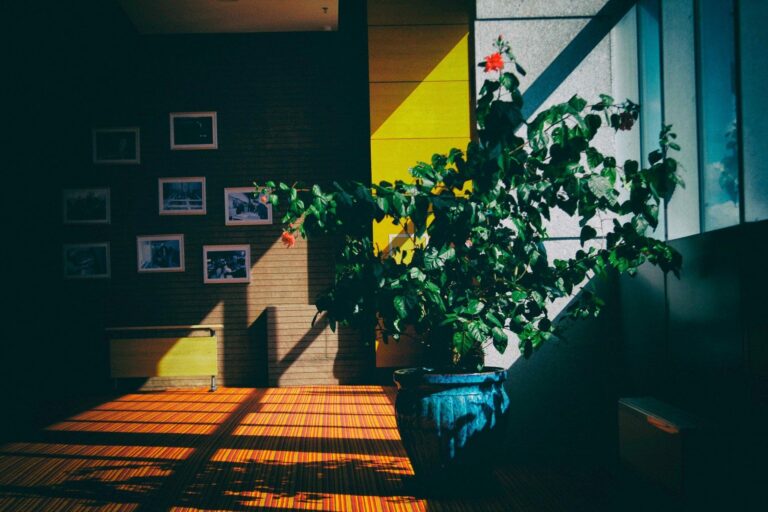 Decorar interiores con plantas, la apuesta de Be.Green