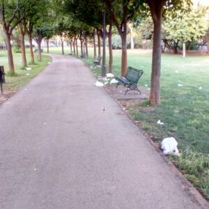 El Parque de los Príncipes de Sevilla es un "estercolero de botellas rotas" a centímetros de "papeleras vacías"