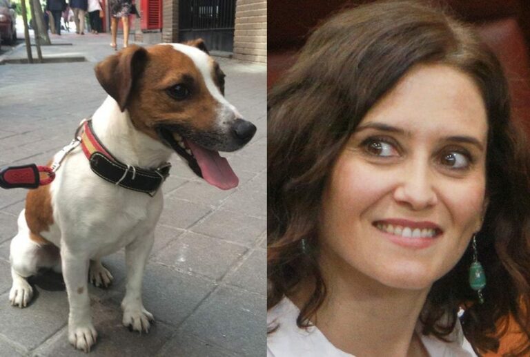 Ya lo decía Ayuso cuando era Pecas, el perro de Aguirre: "Grrrrrr..."