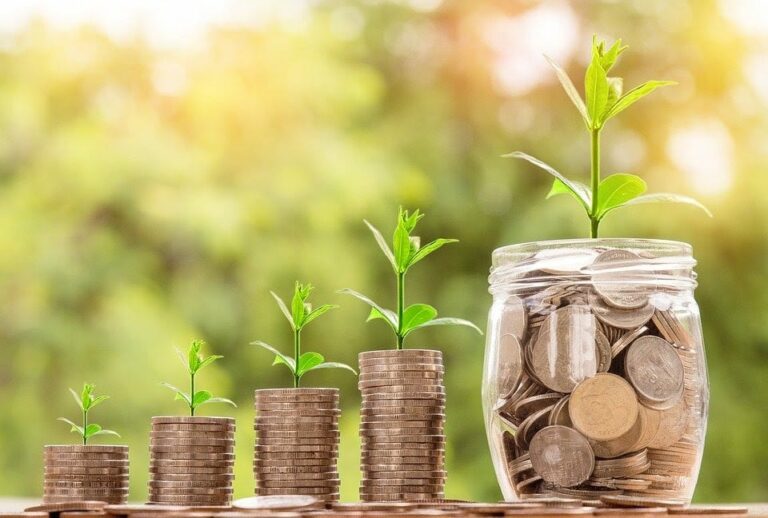 Estrategias para la solvencia económica: el bienestar financiero a tu alcance
