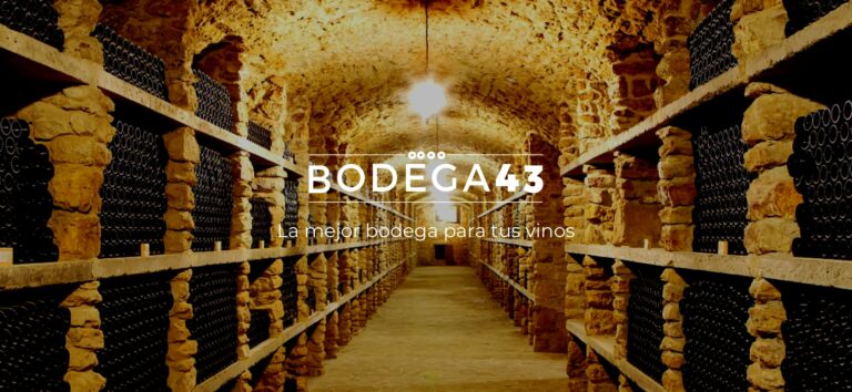 BODEGA43 la marca de vinotecas para la industria hostelera