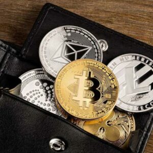 ¿Cómo elegir un Monedero de criptomonedas en España?