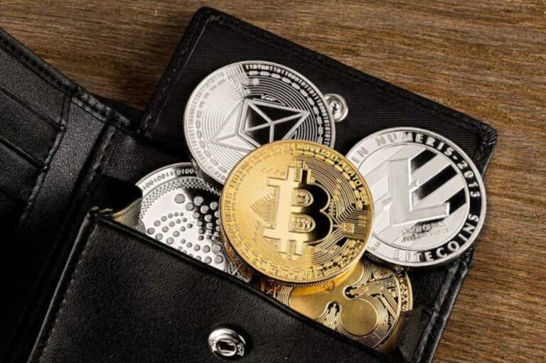 ¿Cómo elegir un Monedero de criptomonedas en España?
