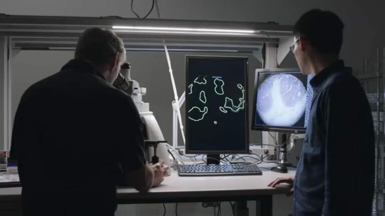 Tipos de microscopios y sus diferentes usos