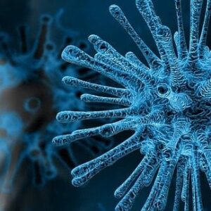 ¿Cuáles son las causas que llevan a la OMS a rechazar la búsqueda de la inmunidad colectiva frente al coronavirus?
