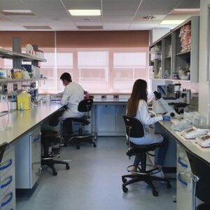 Científicos españoles descubren una proteína capaz de destruir tumores cancerosos