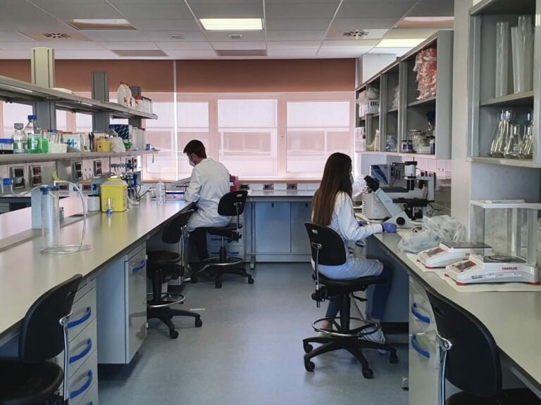 Científicos españoles descubren una proteína capaz de destruir tumores cancerosos