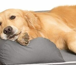 La importancia de las camas ortopédicas para perros