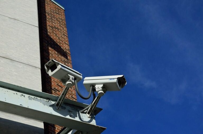 Todo lo que internet puede ofrecer a los usuarios en materia de seguridad, ocio y entretenimiento