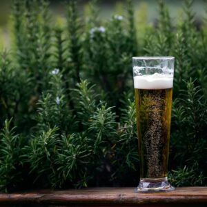 Los grandes beneficios de la cerveza para la salud