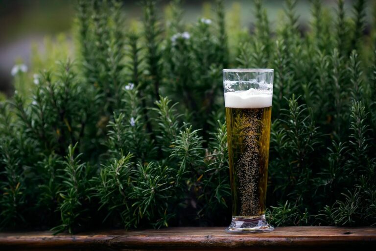 Los grandes beneficios de la cerveza para la salud