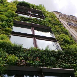 La jardinería conquistará los espacios públicos