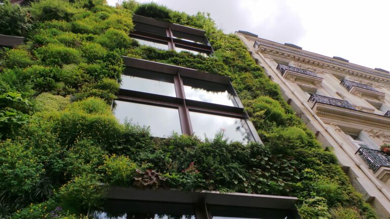 La jardinería conquistará los espacios públicos