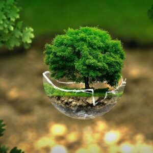 Cuidar del planeta es cuidar de ti mismo: los mejores recursos medioambientales
