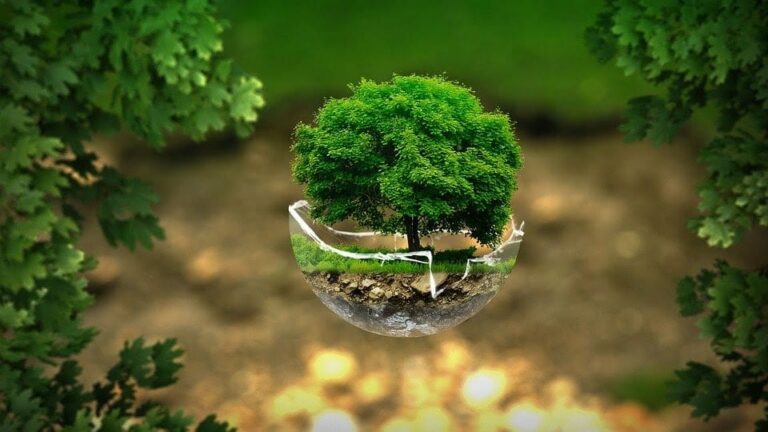 Cuidar del planeta es cuidar de ti mismo: los mejores recursos medioambientales