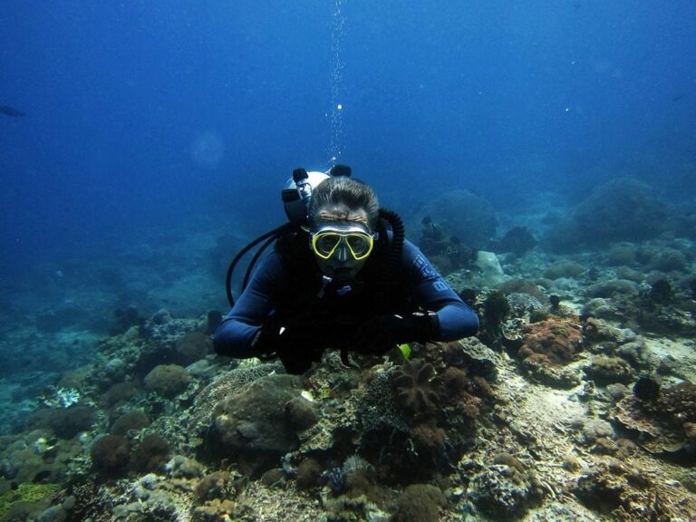 ¿Cuáles son las mejores rutas de buceo para disfrutar de este deporte?