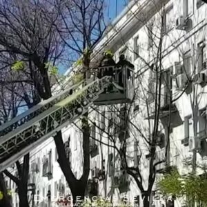 El rescate de un loro en Sevilla genera polémica